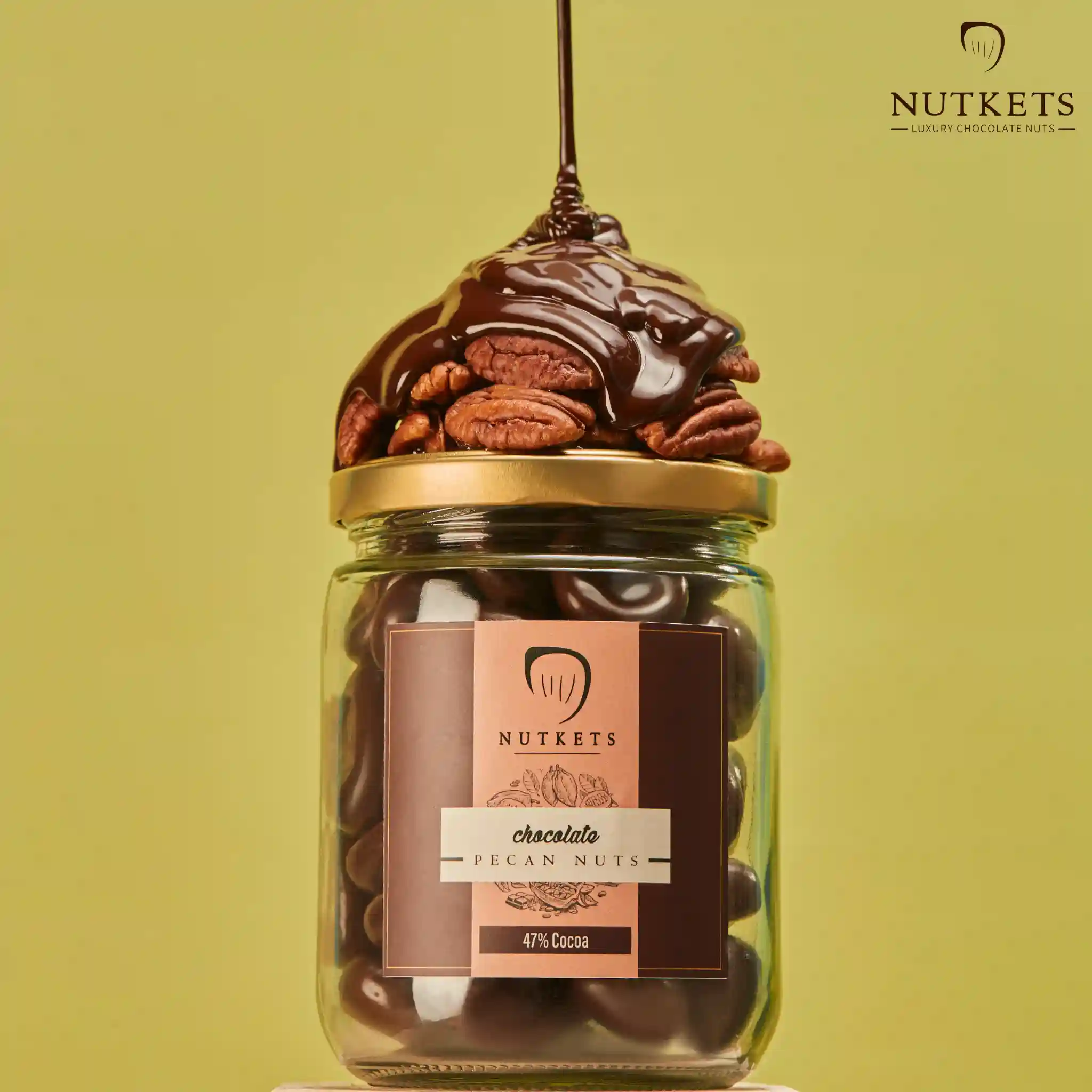 Gourmet Chocolate Pecan Nuts