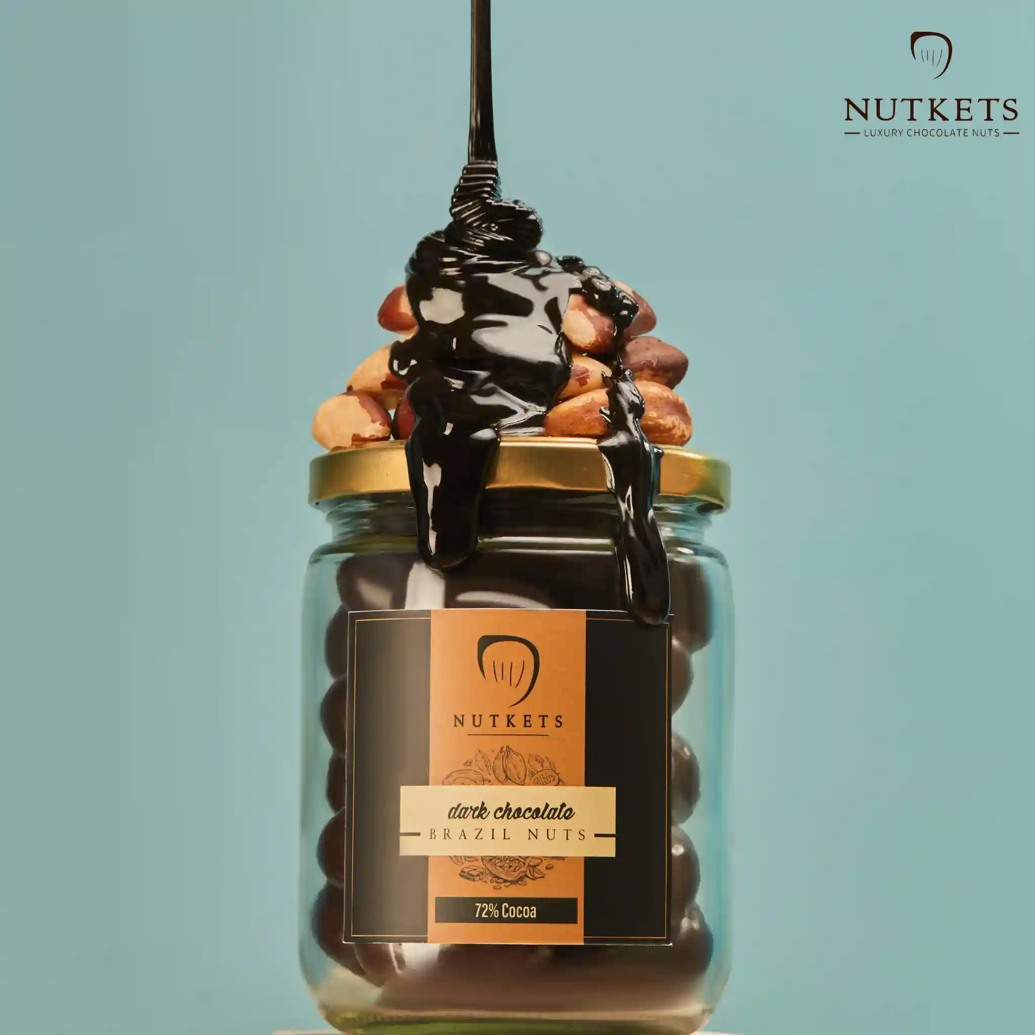 Gourmet DARK Chocolate Brazil Nuts