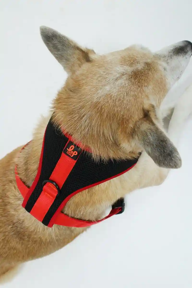Air-Mesh Padded Black Vest Harness For Dogs - Small