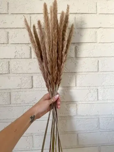 Mini Brown Pampas Sticks - Set Of 10