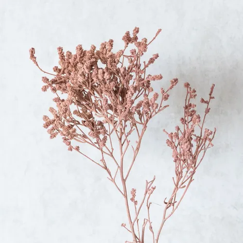 Dried German Statice Grass (100 Grams)
