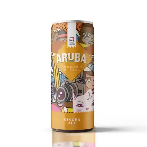 ARUBA Premium Mixers - Ginger Ale ( Pack of 12 Cans)