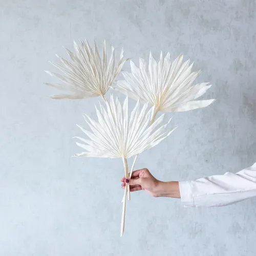White Sun Palm Spears (Set Of 3 Pcs)