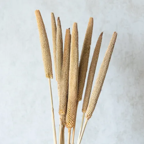 Beige Millet Sticks (Set of 10)