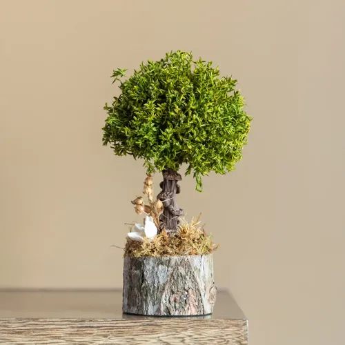 Small Eco-Friendly Floral Bonsai Tree