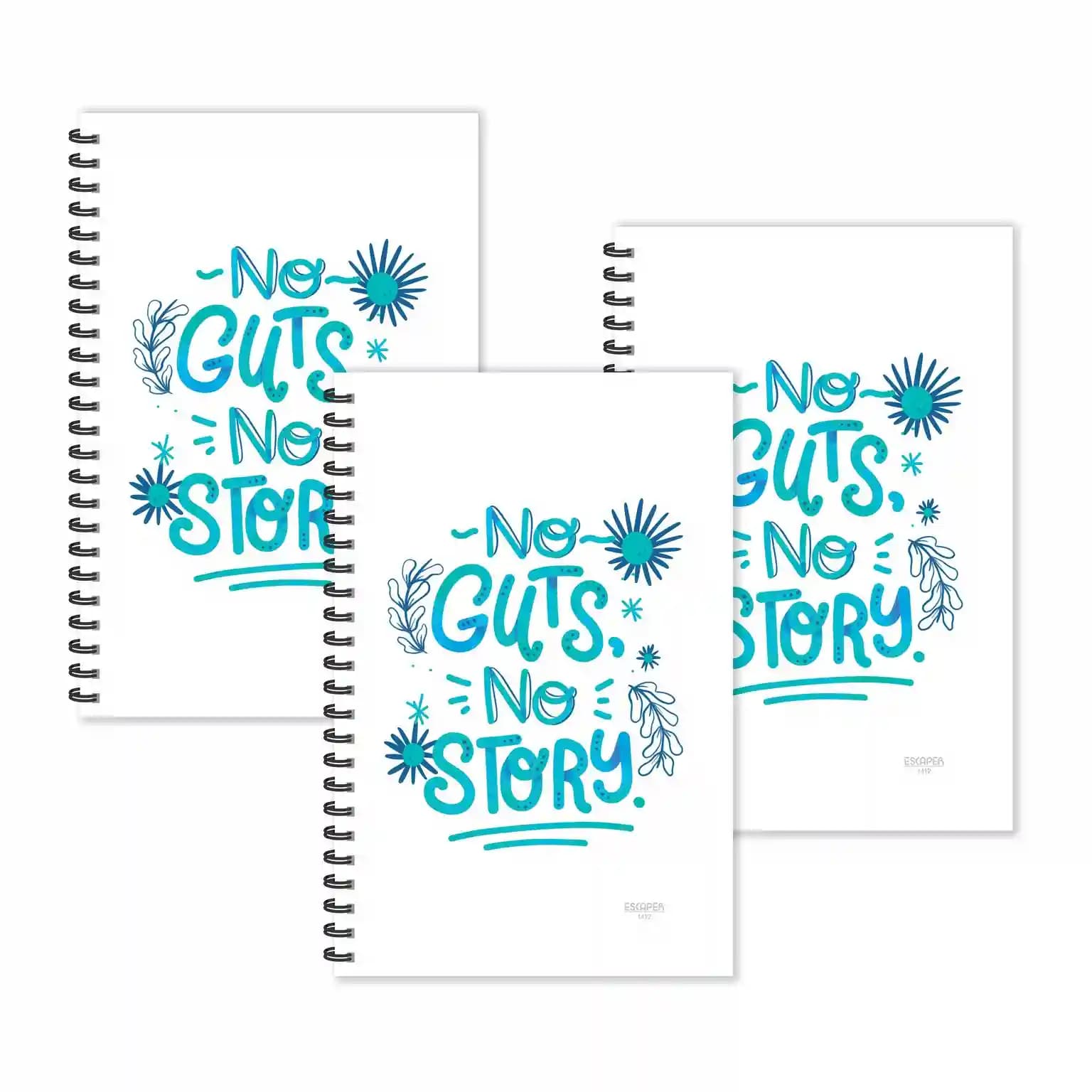 No Guts No Story Motivation Ruled Diaries - Pack Of 3 Diaries