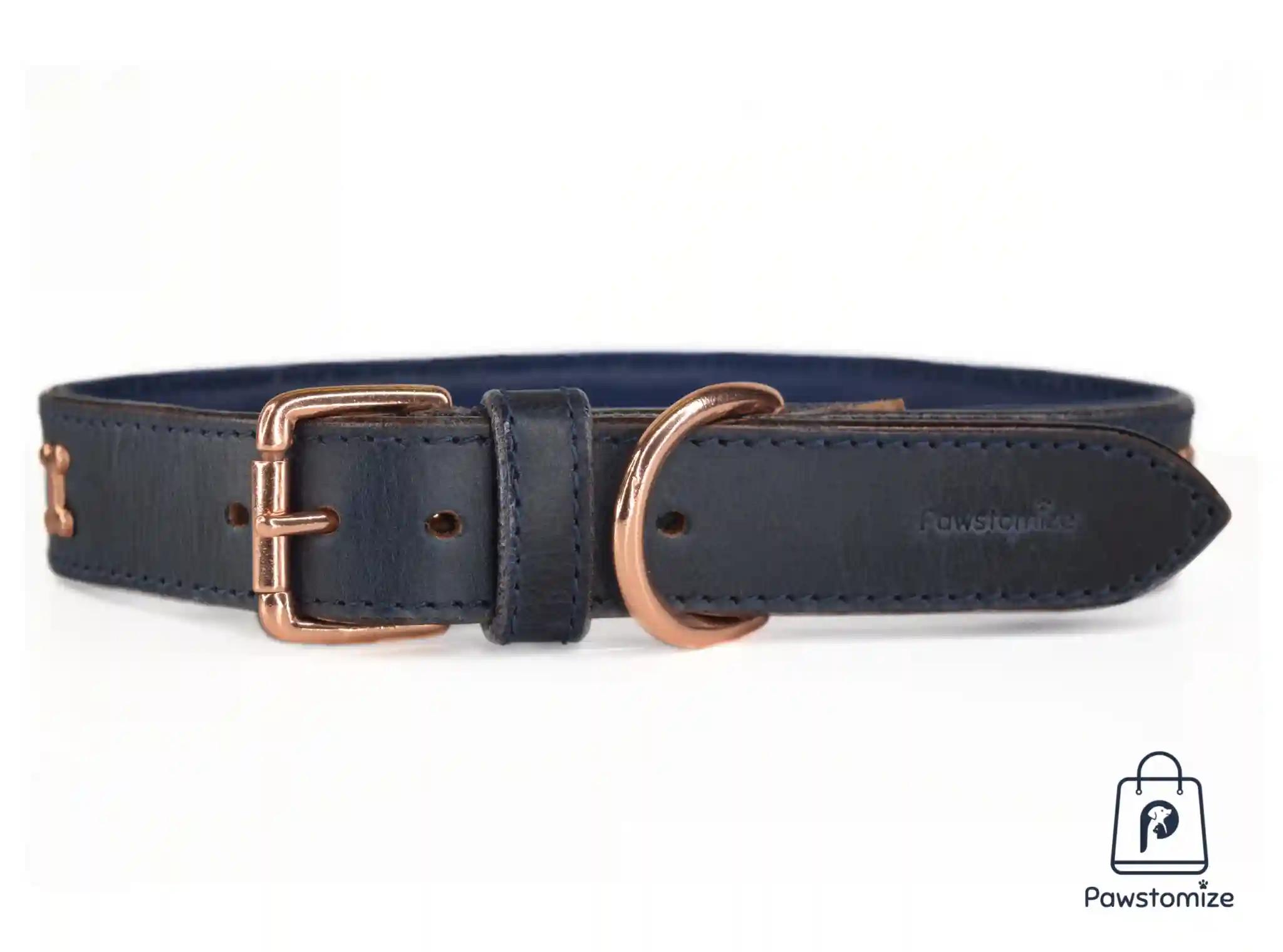 Pawstomize Leather Collar - Blue